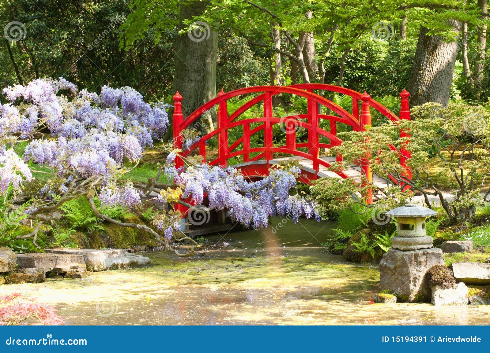 Japanese garden stock image. Image of cultural, oriental - 15194391