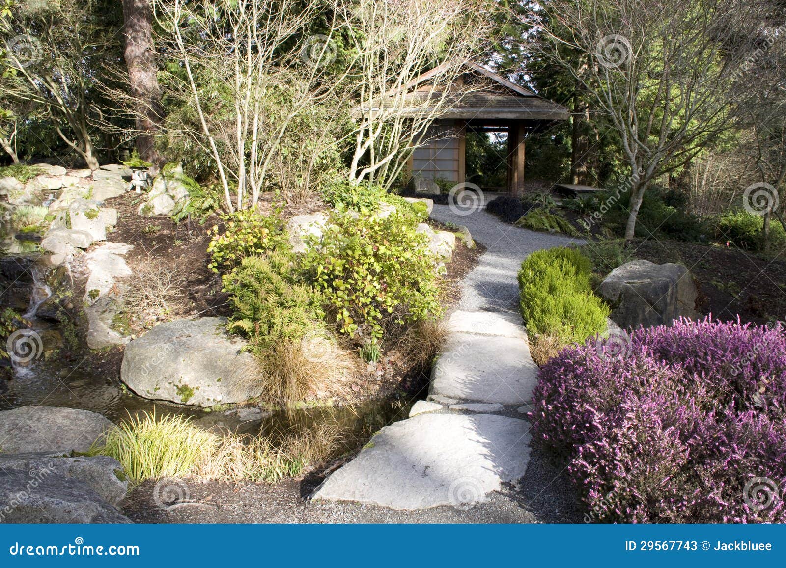 Japanese Garden At Bellevue Botanical Garden Stock Image Image