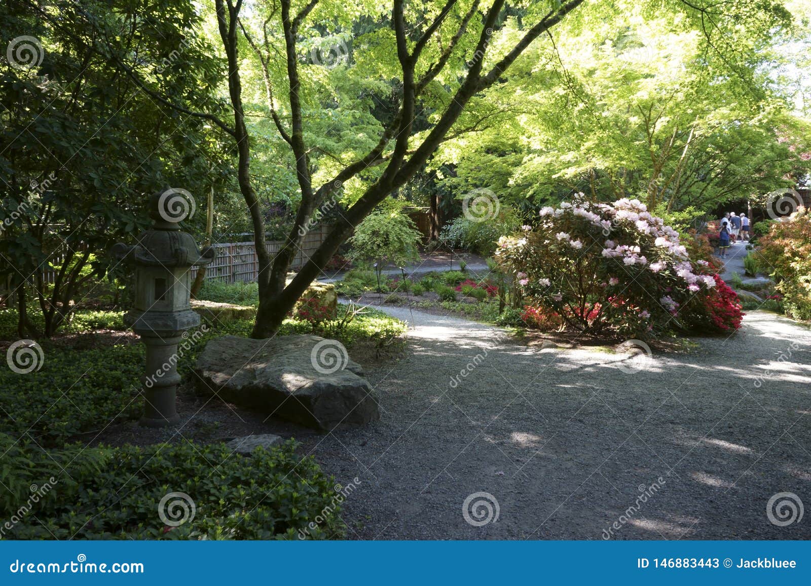 Japanese Garden In Bellevue Botanical Garden Stock Image Image