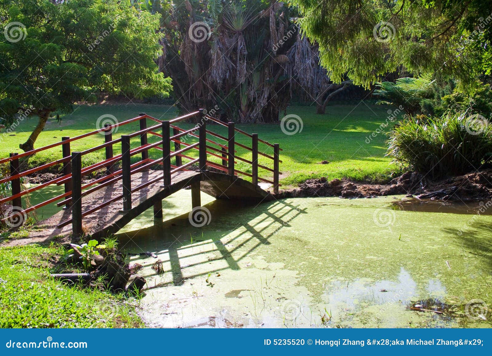Japanese Garden bridge stock photo. Image of arched, grassland - 5235520