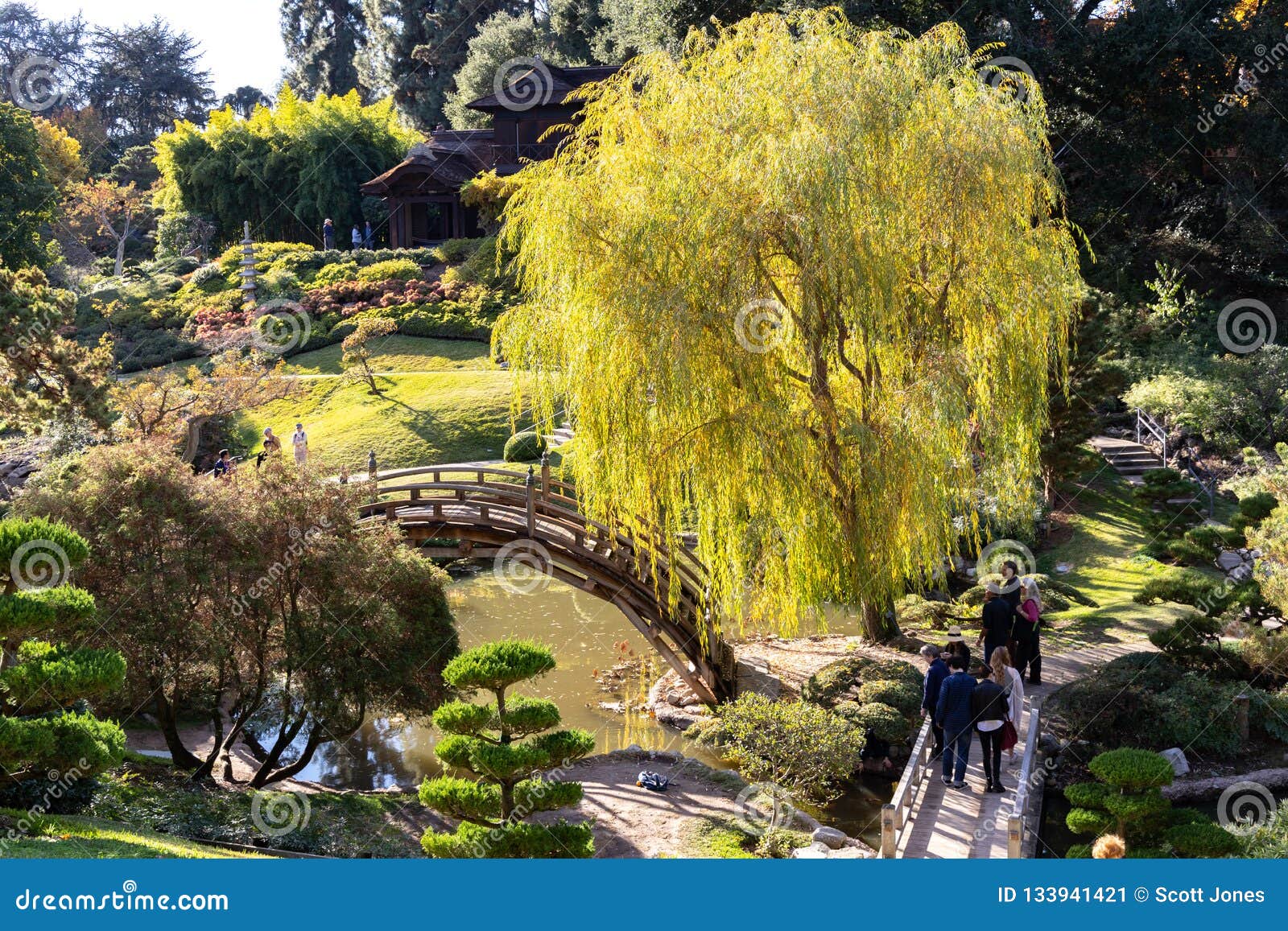 Japanese Garden Bridge Editorial Photo Image Of Japanese 133941421