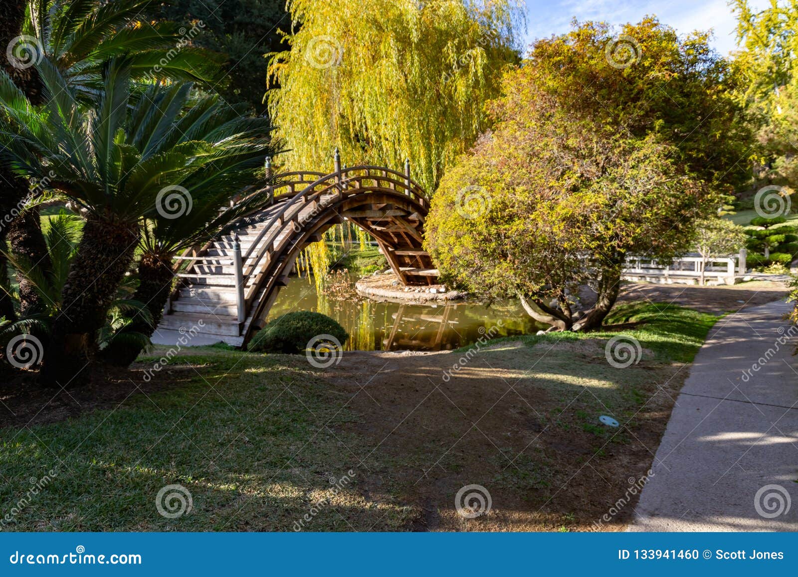 Japanese Garden Bridge Stock Photo Image Of Garden 133941460