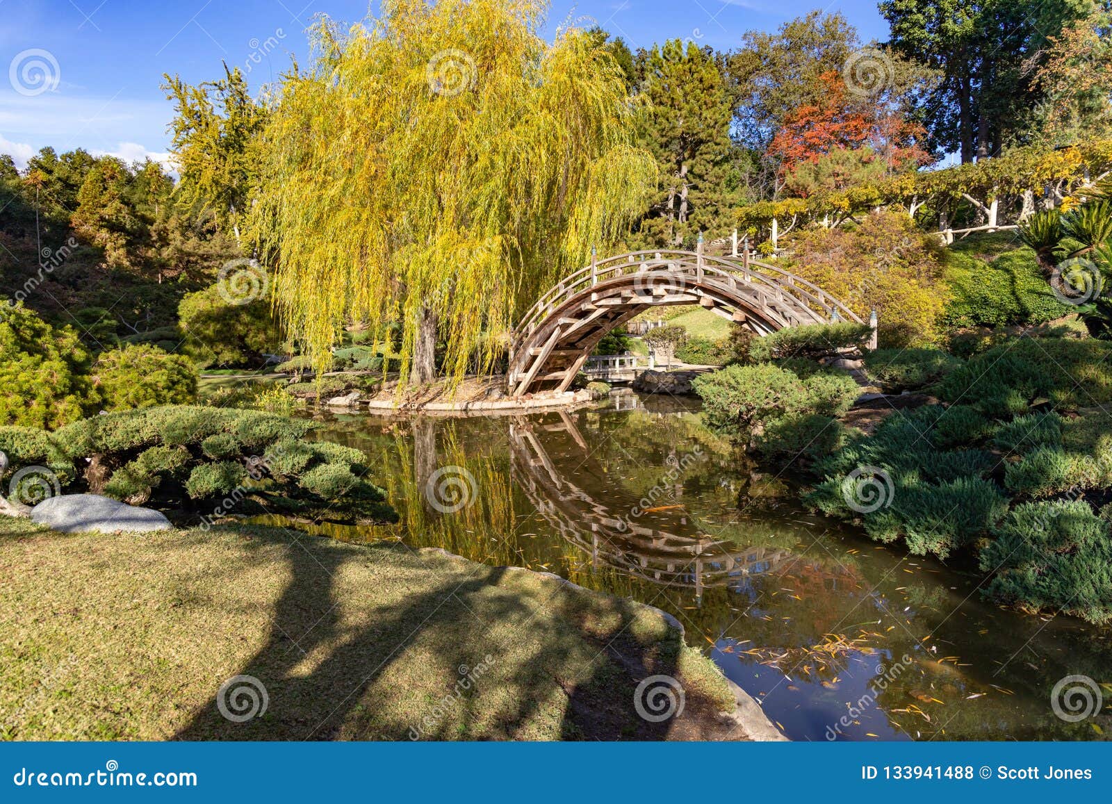 Japanese Garden Bridge Stock Photo Image Of Bridge 133941488