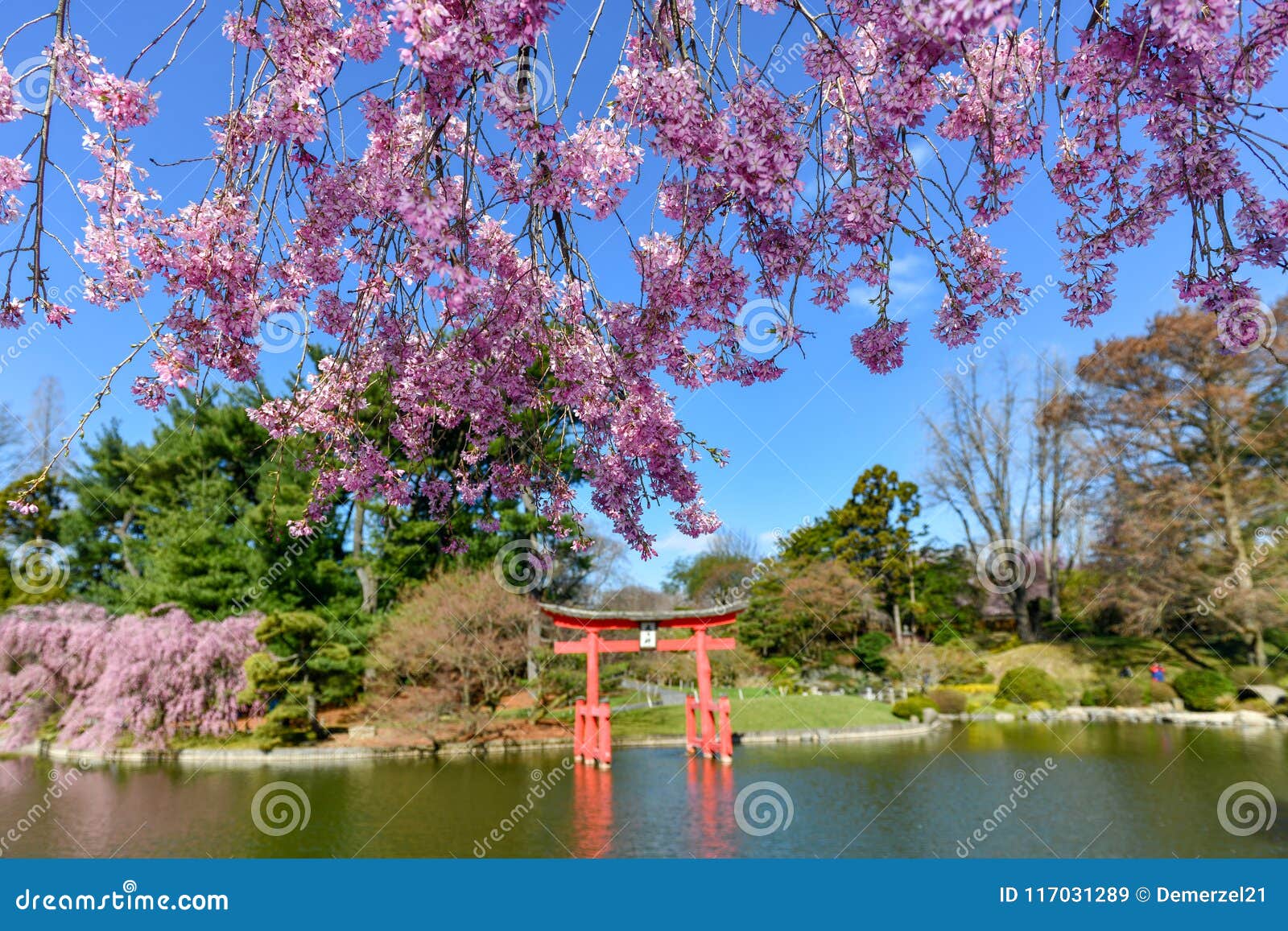 Japanese Garden Brooklyn Botanical Garden Stock Image Image Of