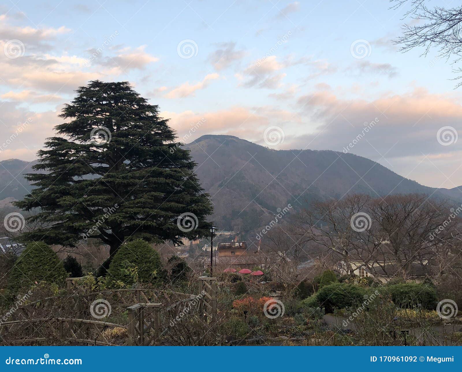 Japanese Garden At Hakone City In The Winter Stock Photo Image