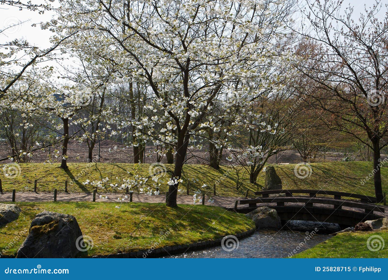 Japanese Garden, Hasselt, Belgium Stock Image Image of ceremony