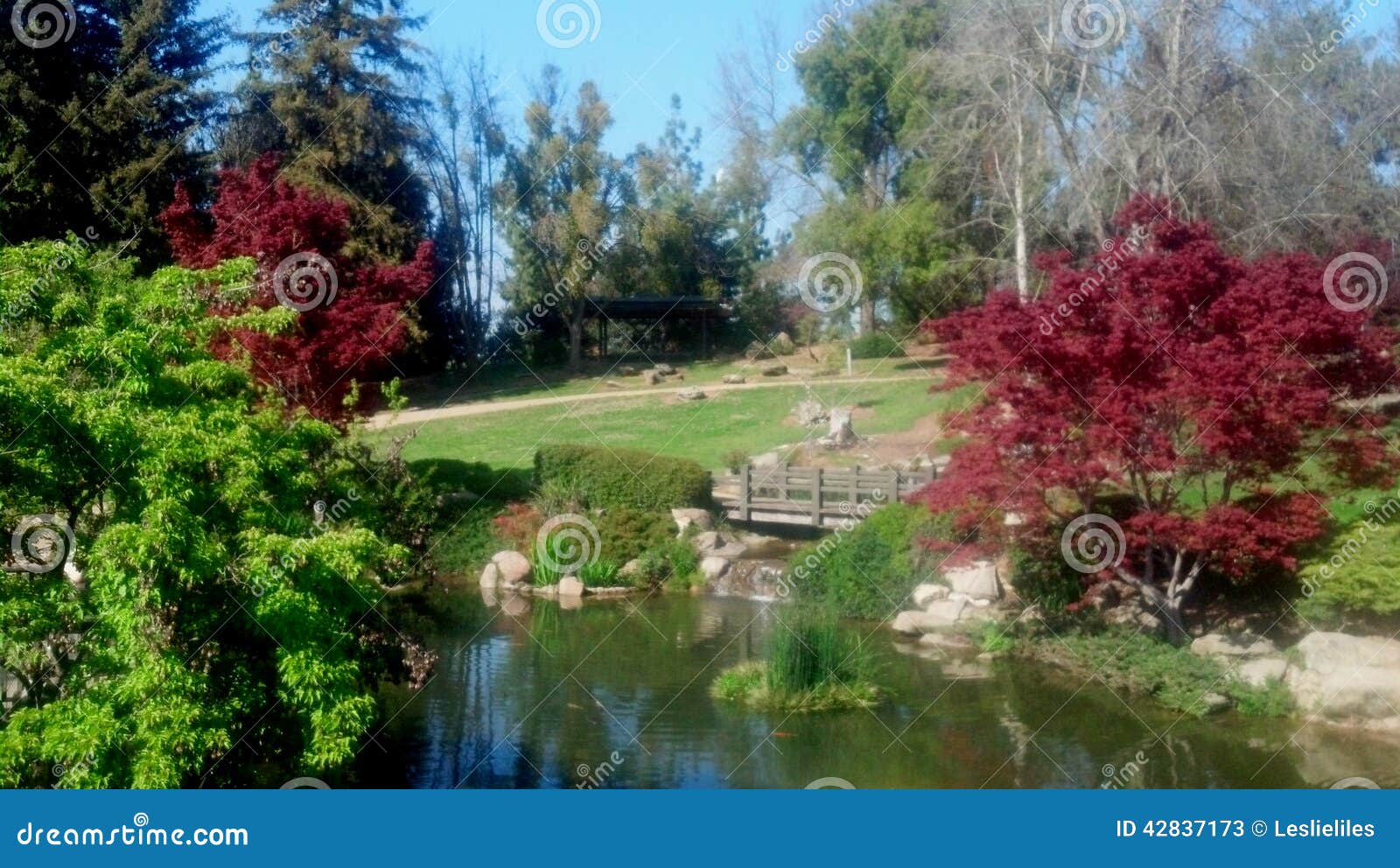 Japanese Garden And Lake Editorial Stock Photo Image Of Scenic