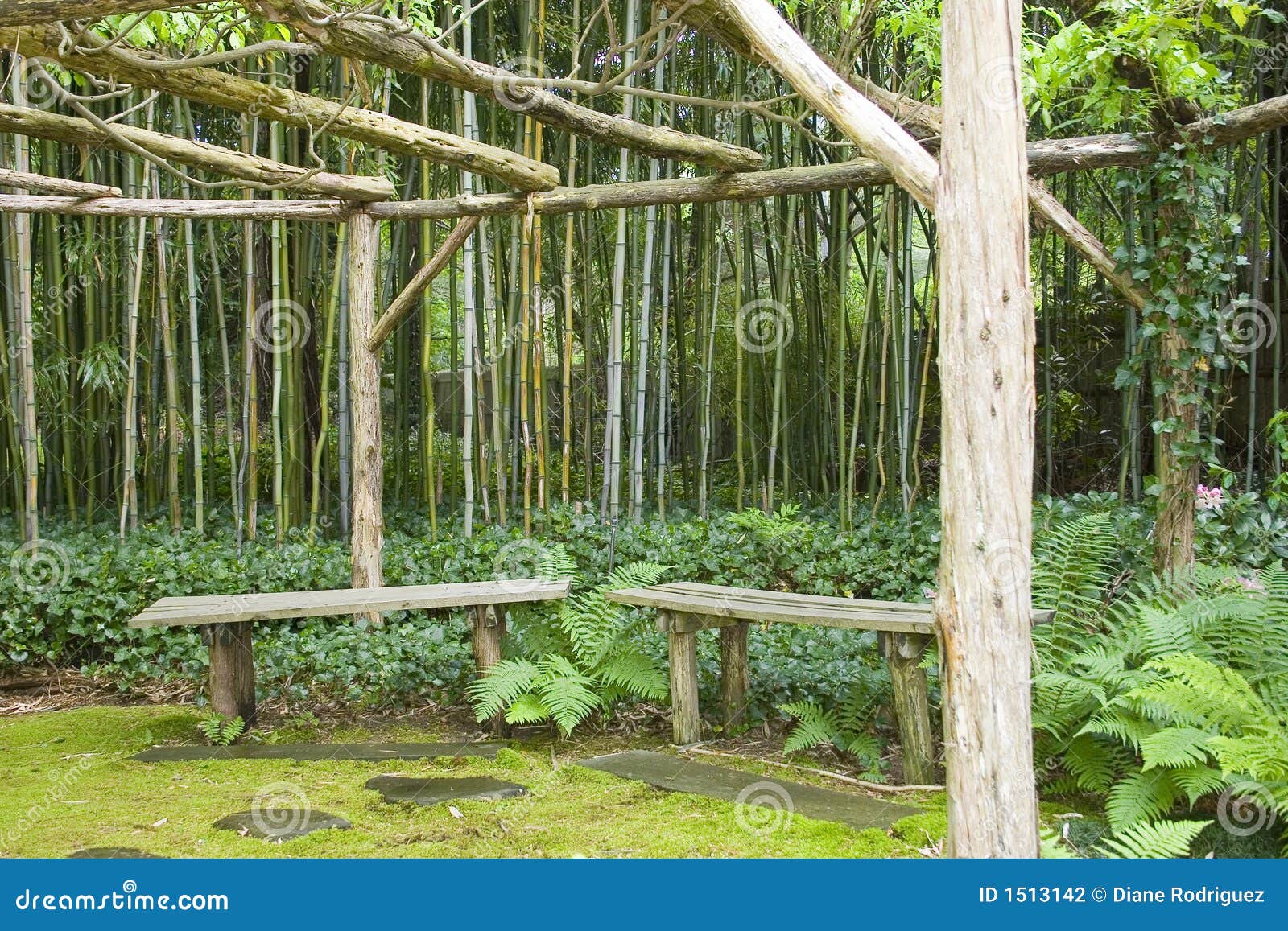 Japanese Garden Meditation Benches Stock Photo Image of area, reflect
