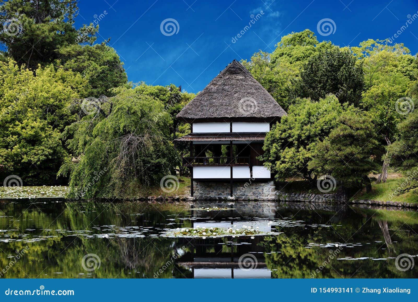 japanese garden - nihon teien