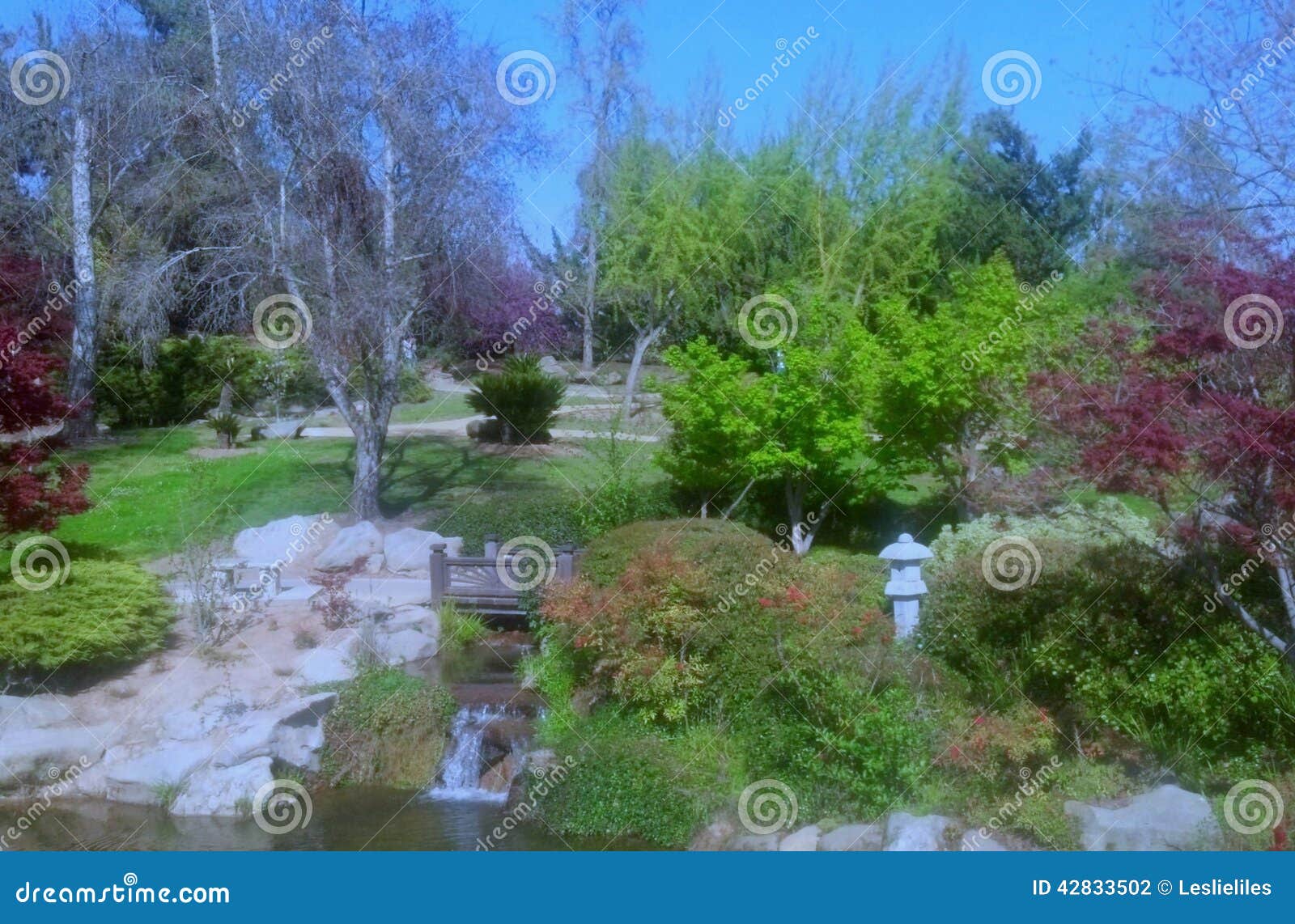 Japanese Garden Stock Photo Image Of Woodward Woods 42833502