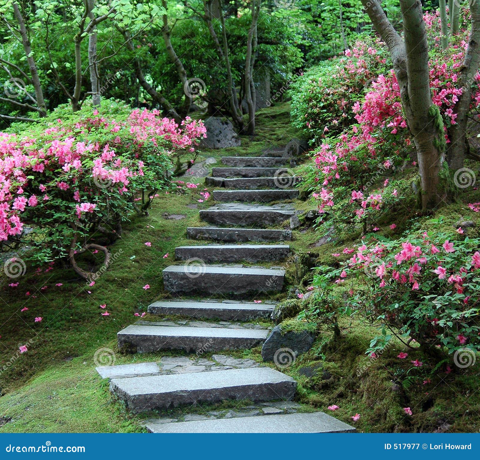 Japanese Garden Stairway Royalty Free Stock Photography - Image 