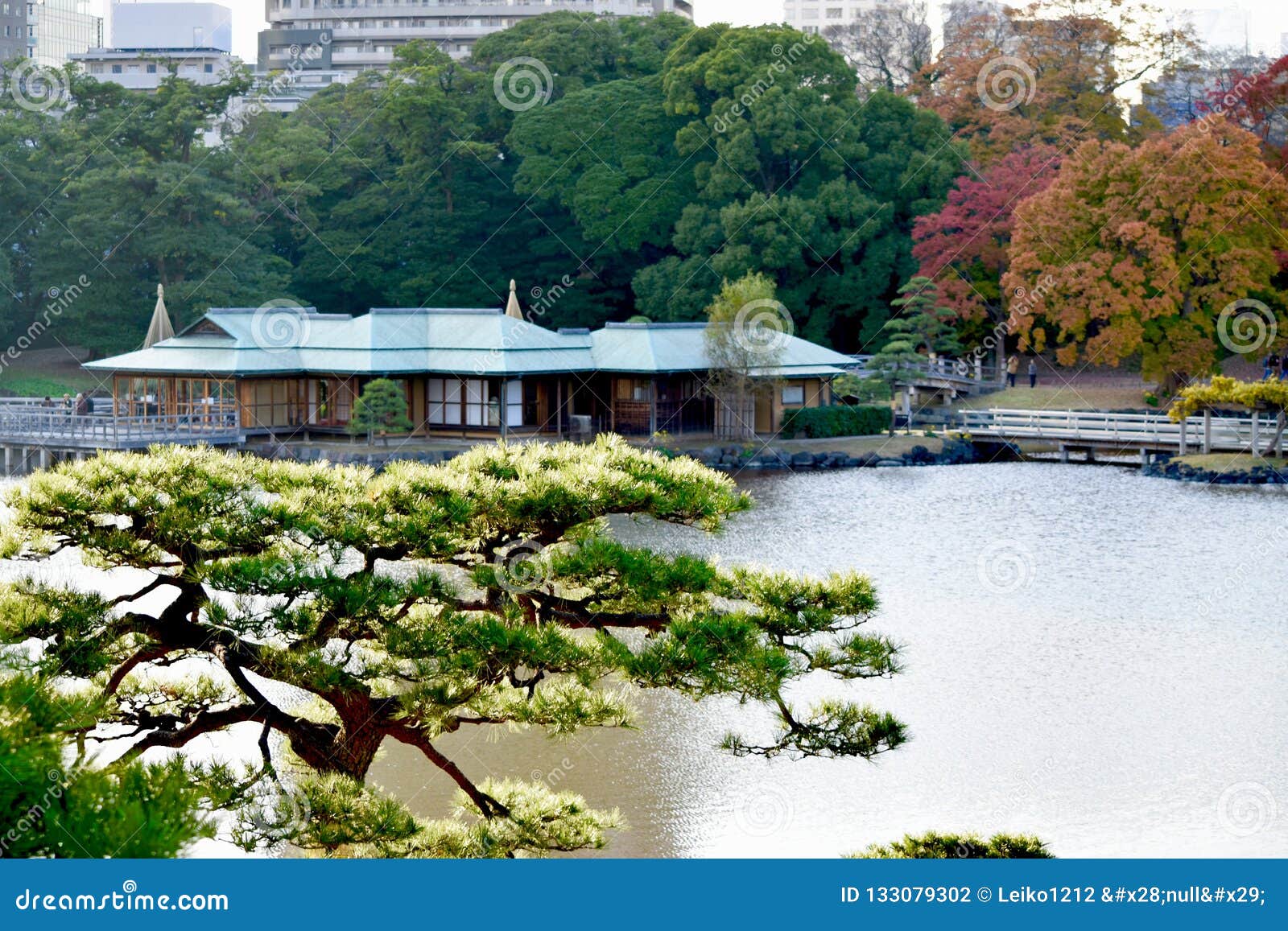 Japanese Garden Tea House Hamarikyu Tokyo Stock Photo Image Of Tokyo Hamarikyu Japanese Garden Tea House Hamarikyu Tokyo Stock Photo Image Of Tokyo Hamarikyu