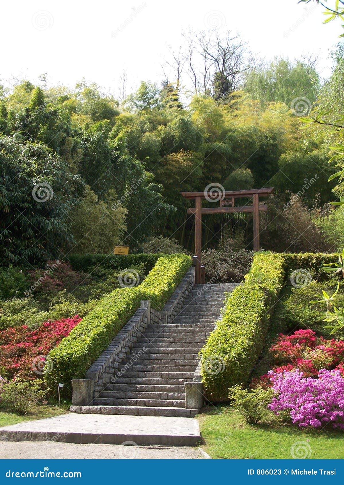 japanese garden in villa carlotta (it)