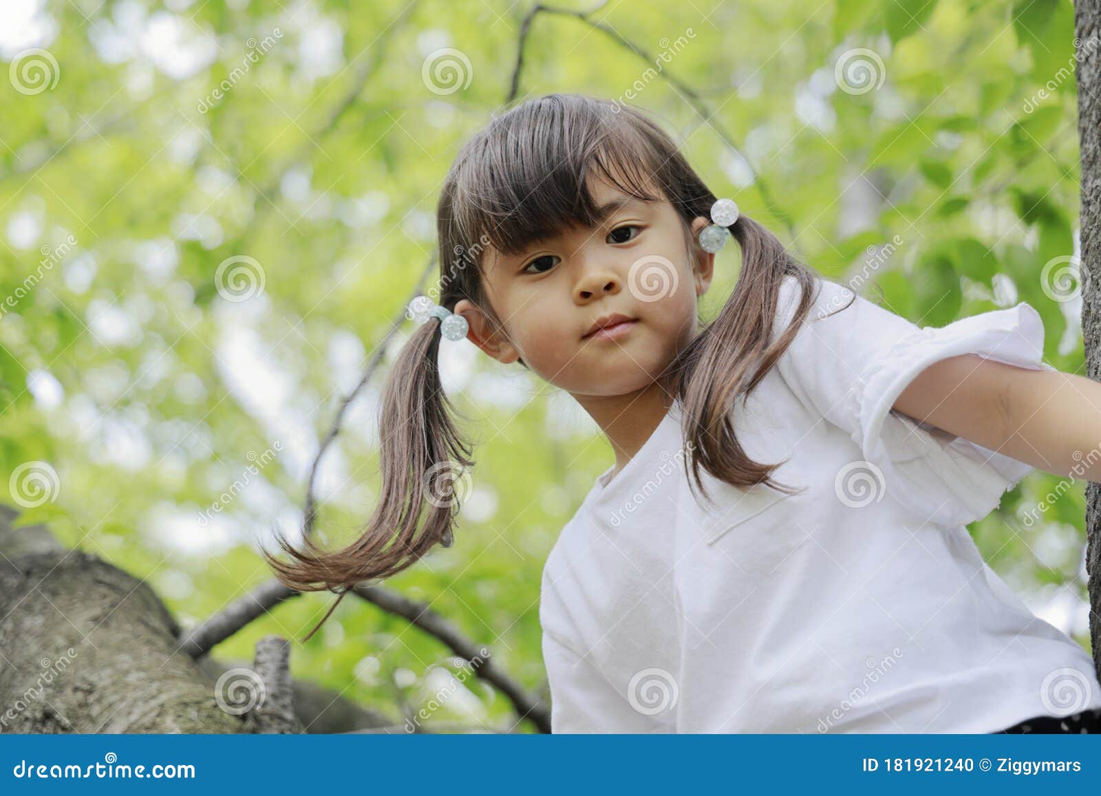 Japanese Girl Climbing the Tree Stock Photo Image of clear, smile