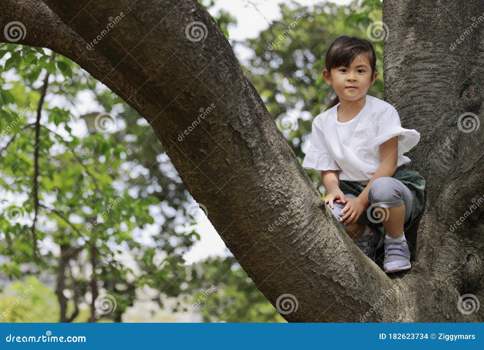 Japanese Girl Climbing the Tree Stock Photo Image of play, forest