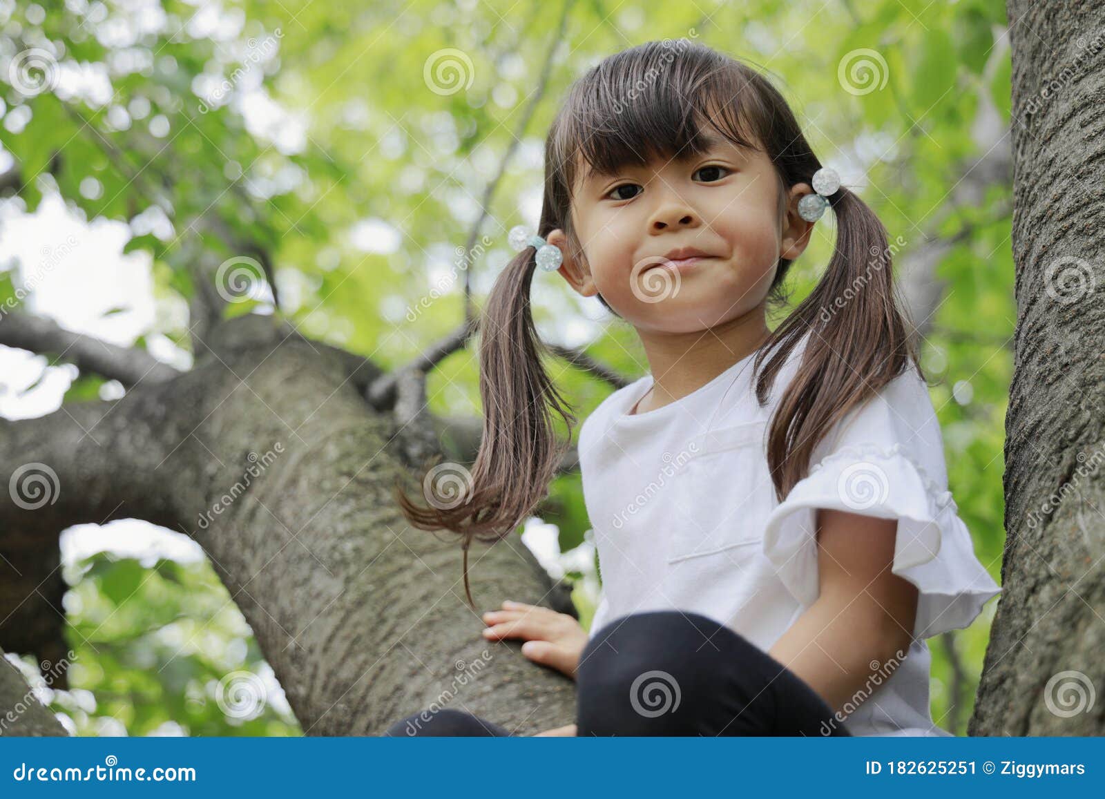 Japanese Girl Climbing the Tree Stock Image Image of years, smile