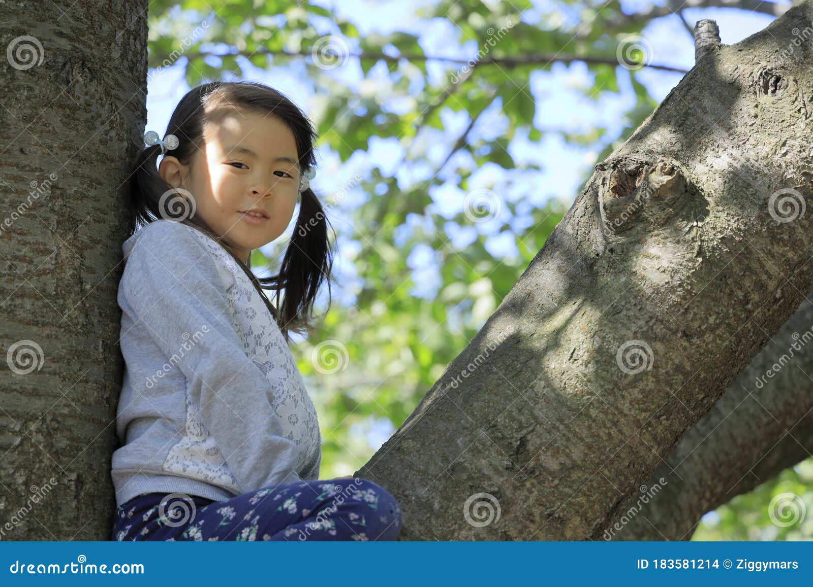Japanese Girl Climbing the Tree Stock Photo Image of ethnicity