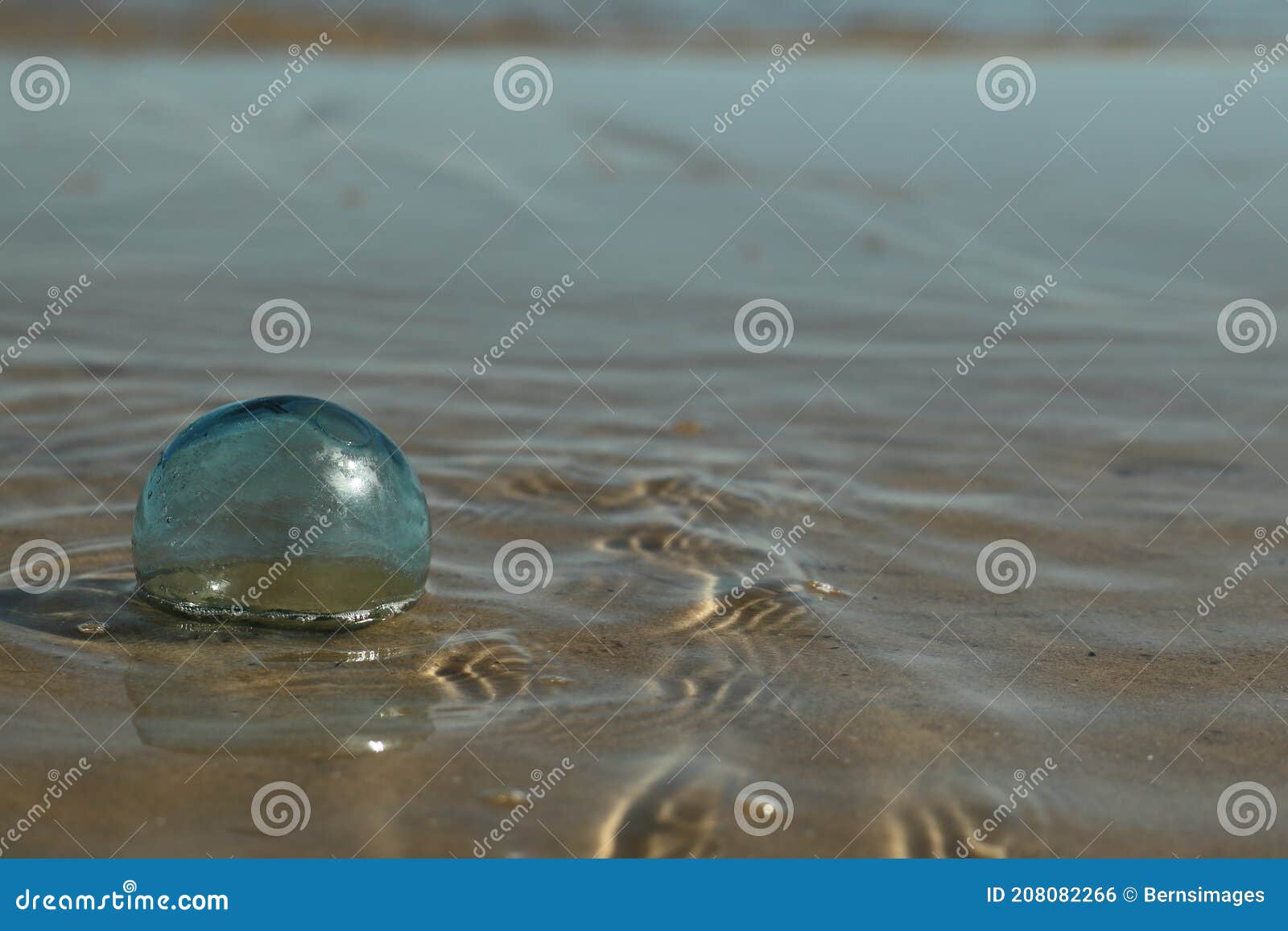handblown glass float washed in the surf