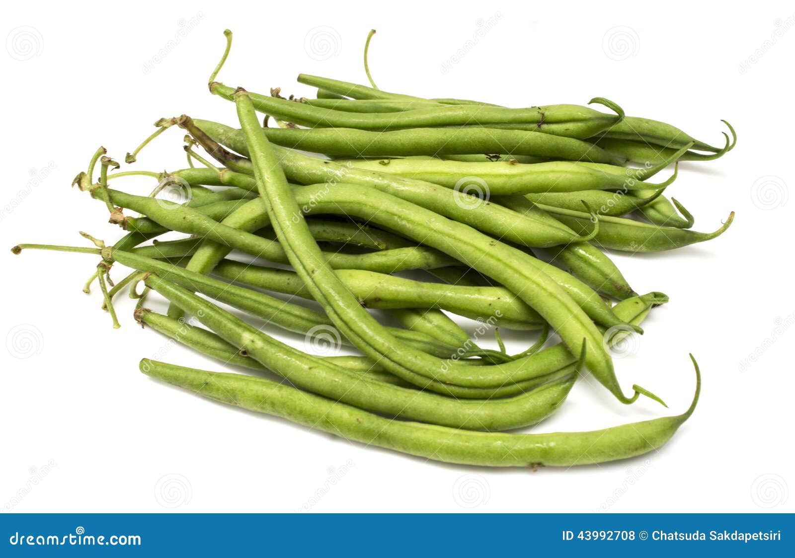 Japanese green beans stock photo. Image of nutritious 43992708
