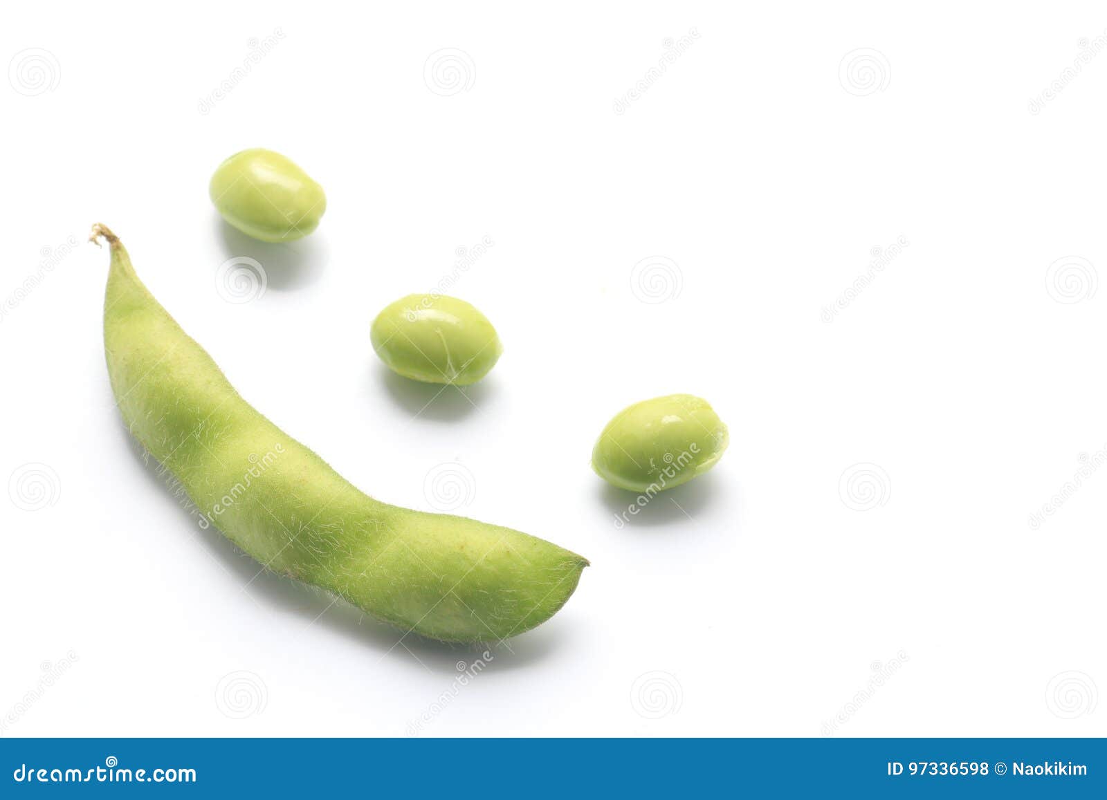 Japanese Green Soybean Isolated Stock Photo Image of fresh, protein