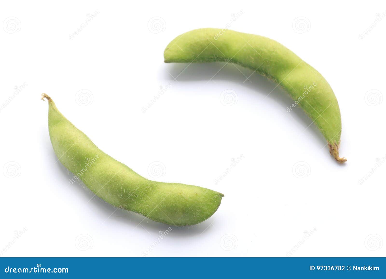 Japanese Green Soybean Isolated Stock Photo Image of bean, edamame