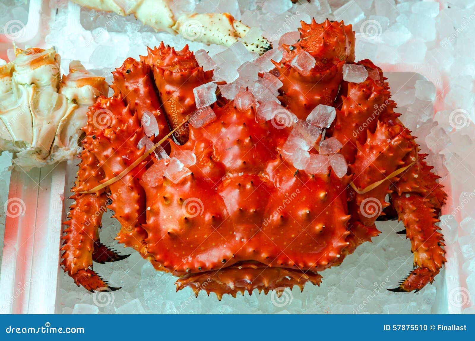 Japanese hairy crabs stock photo. Image of crab, fish 57875510
