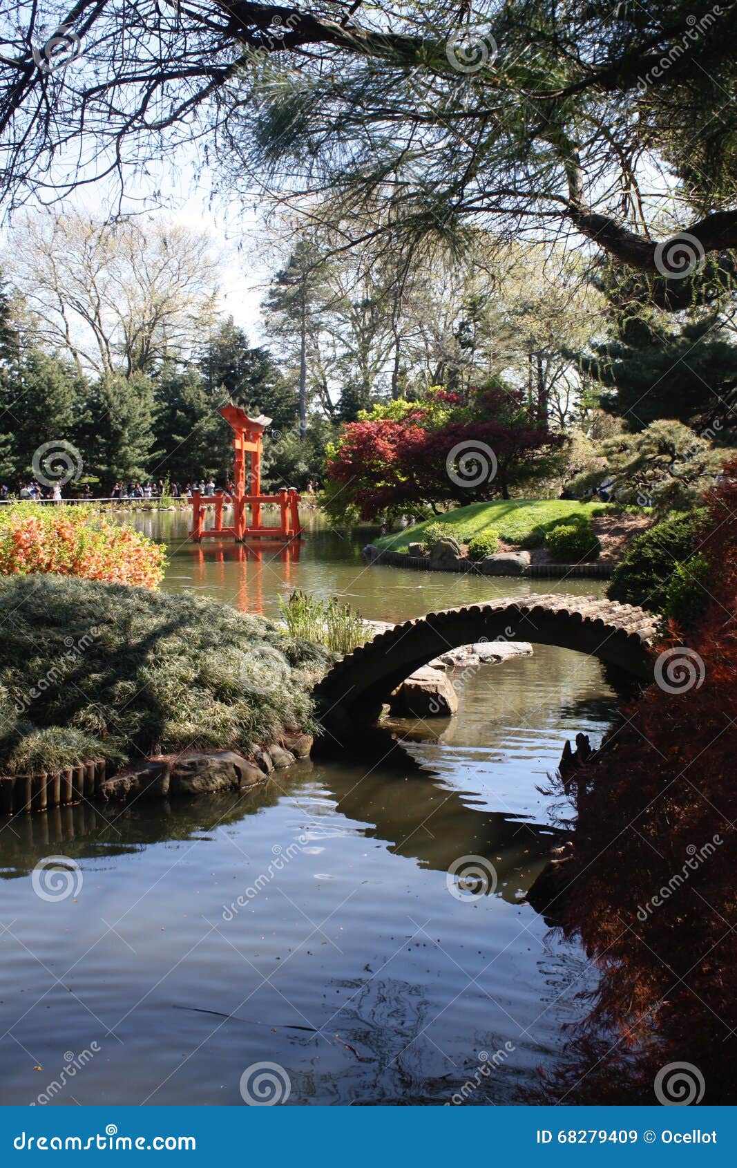 Japanese Hill And Pond Garden At Brooklyn Botanical Gardens Stock