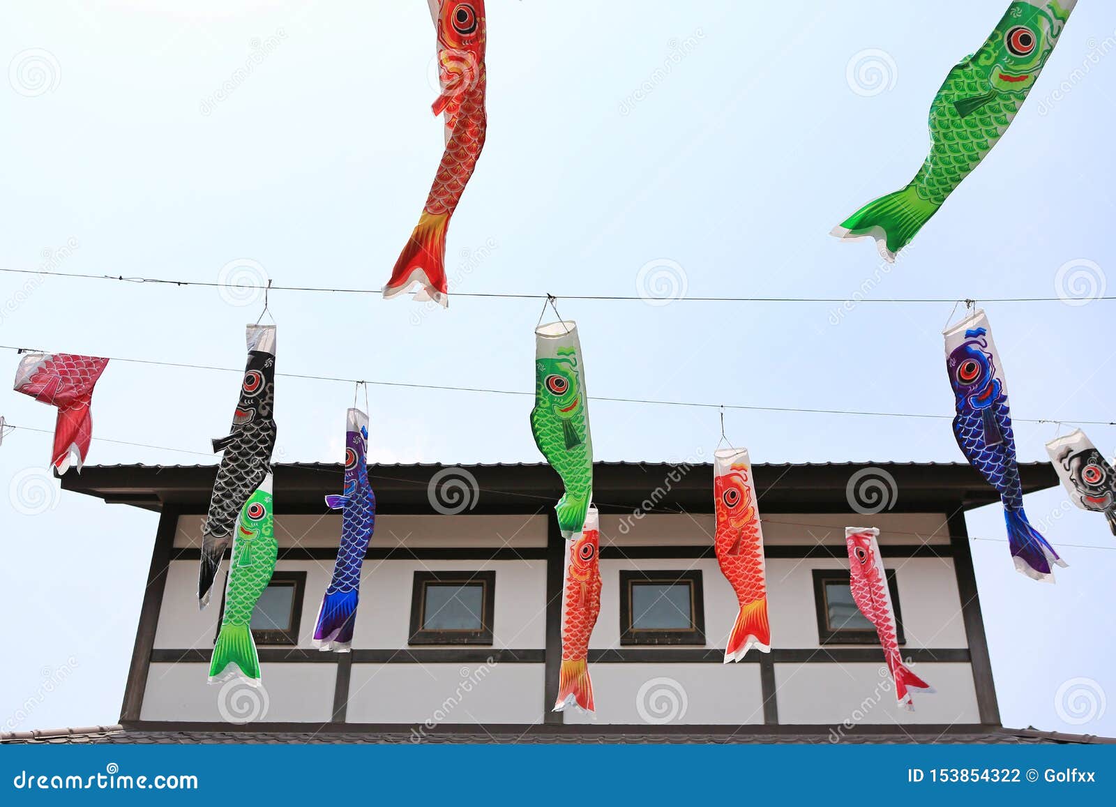 Japanese koi carp flag decoration blow in the wind.koinobori