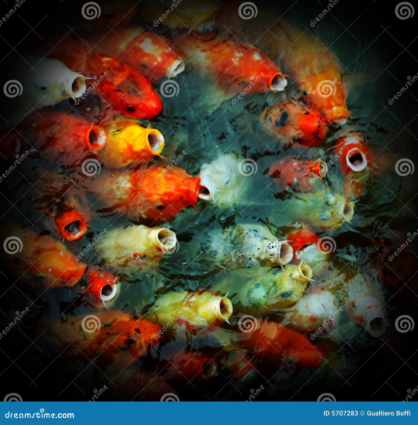 Wallpaper ID 628561  koi fish hd fractal 2K digitalartwork free  download
