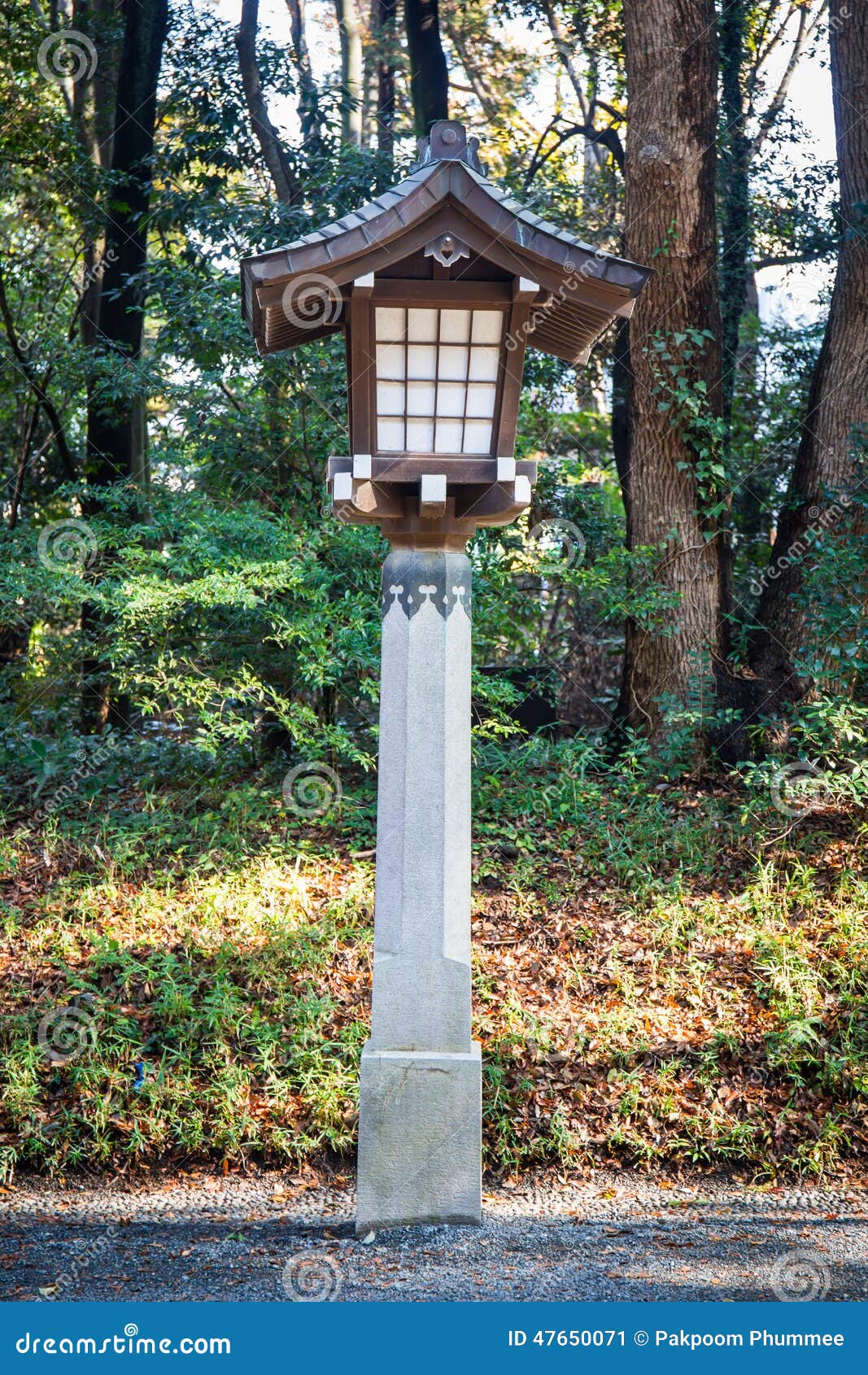 Japanese Lamp at Meiji Jingu Shrine, Harajuku, Tokyo, Japan Stock Image ...