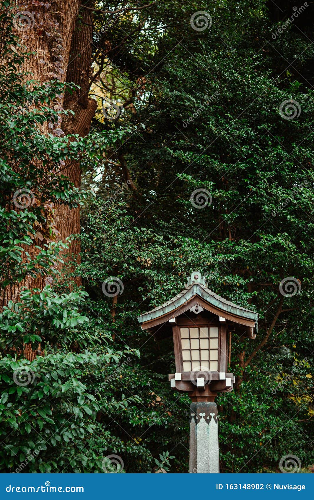 Japanese Lamp of Meiji Jingu Shrine Under Big Tree in Shrine Forest ...