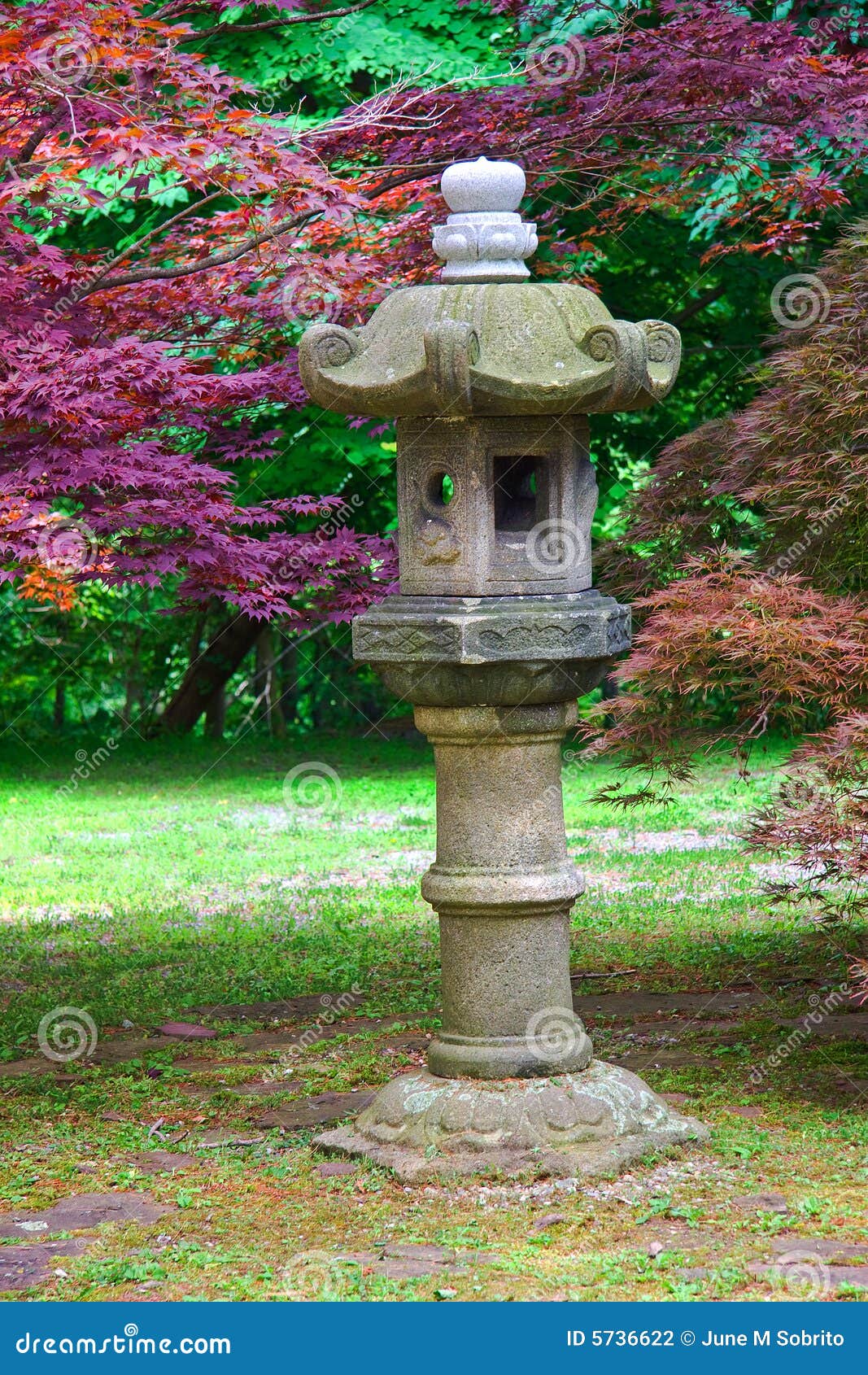 Japanese Lantern stock photo. Image of bonsai, lamp, japanese 5736622