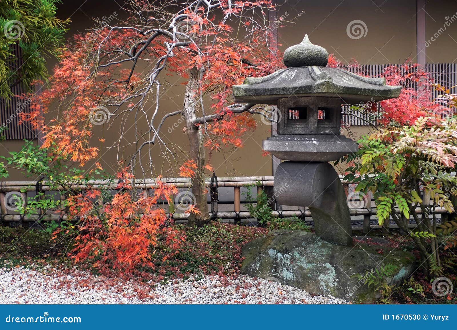 Japanese Lantern In Flowering Cherry Trees At Hanami Stock Photo