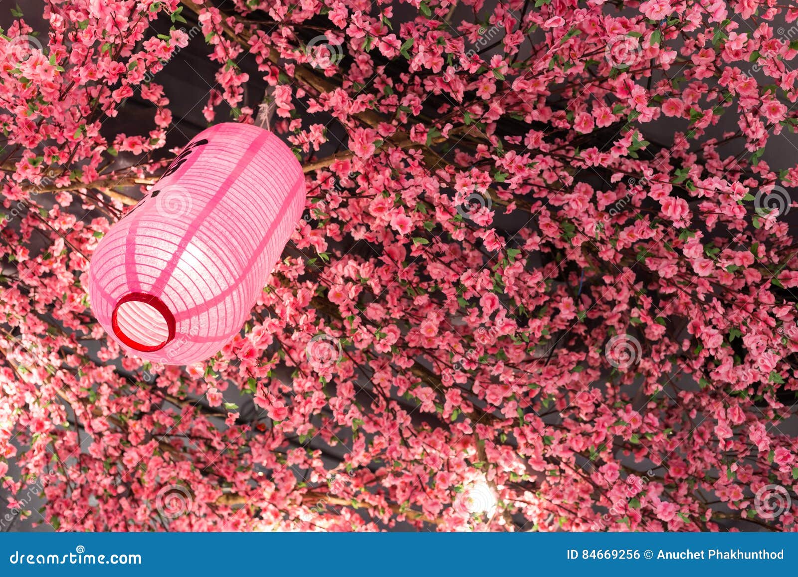Japanese Lantern Pink Color with Plastic Sakura. Stock Photo Image of