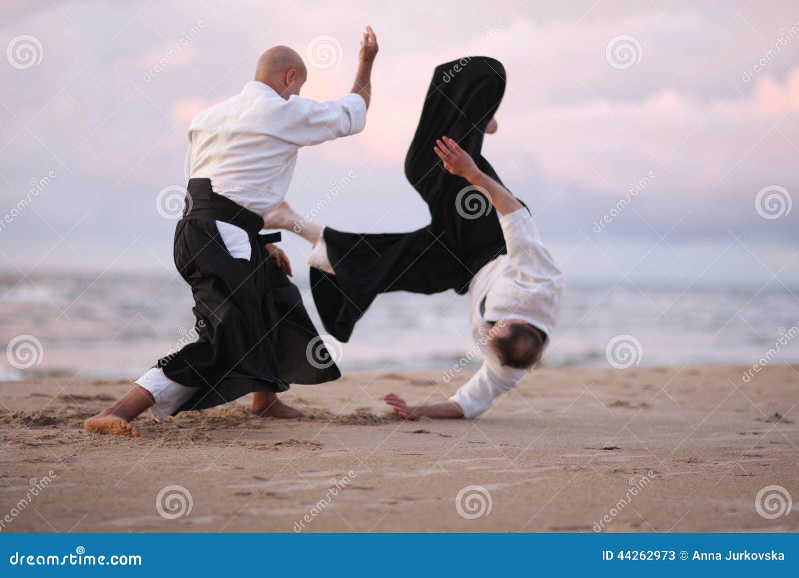 Japanese martial arts stock image. Image of arts, fall 44262973