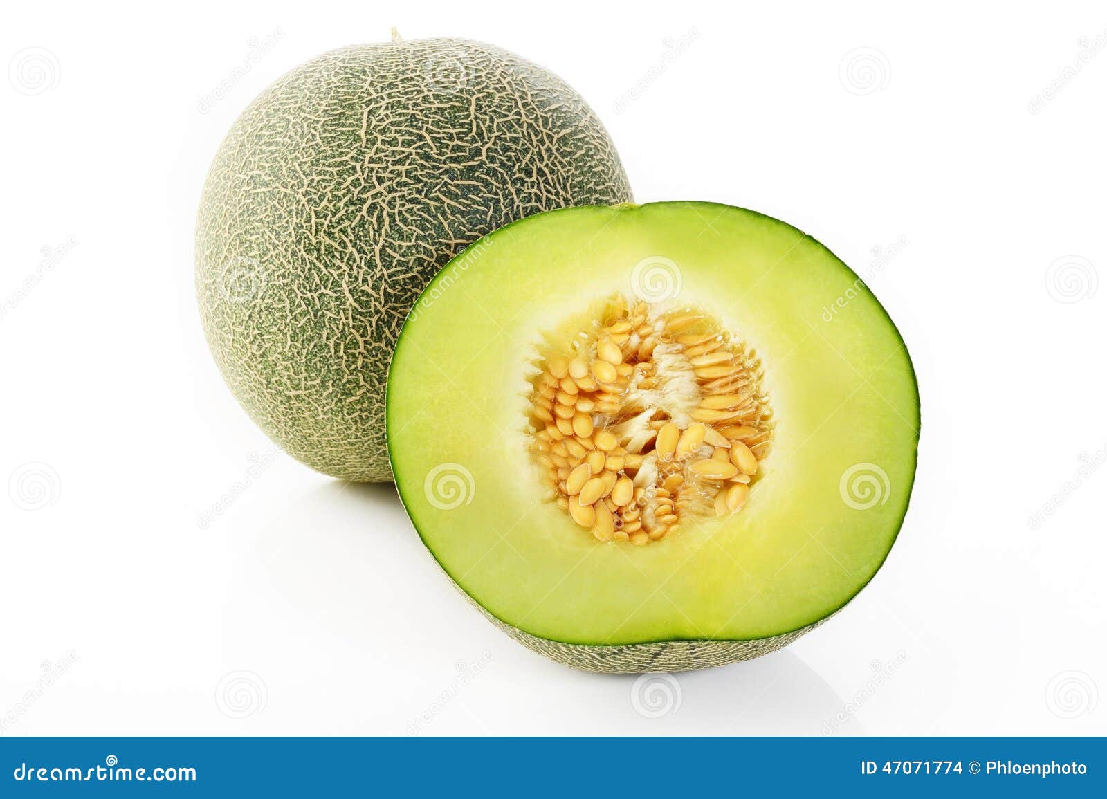 Japanese melon green stock photo. Image of juicy, nature 47071774
