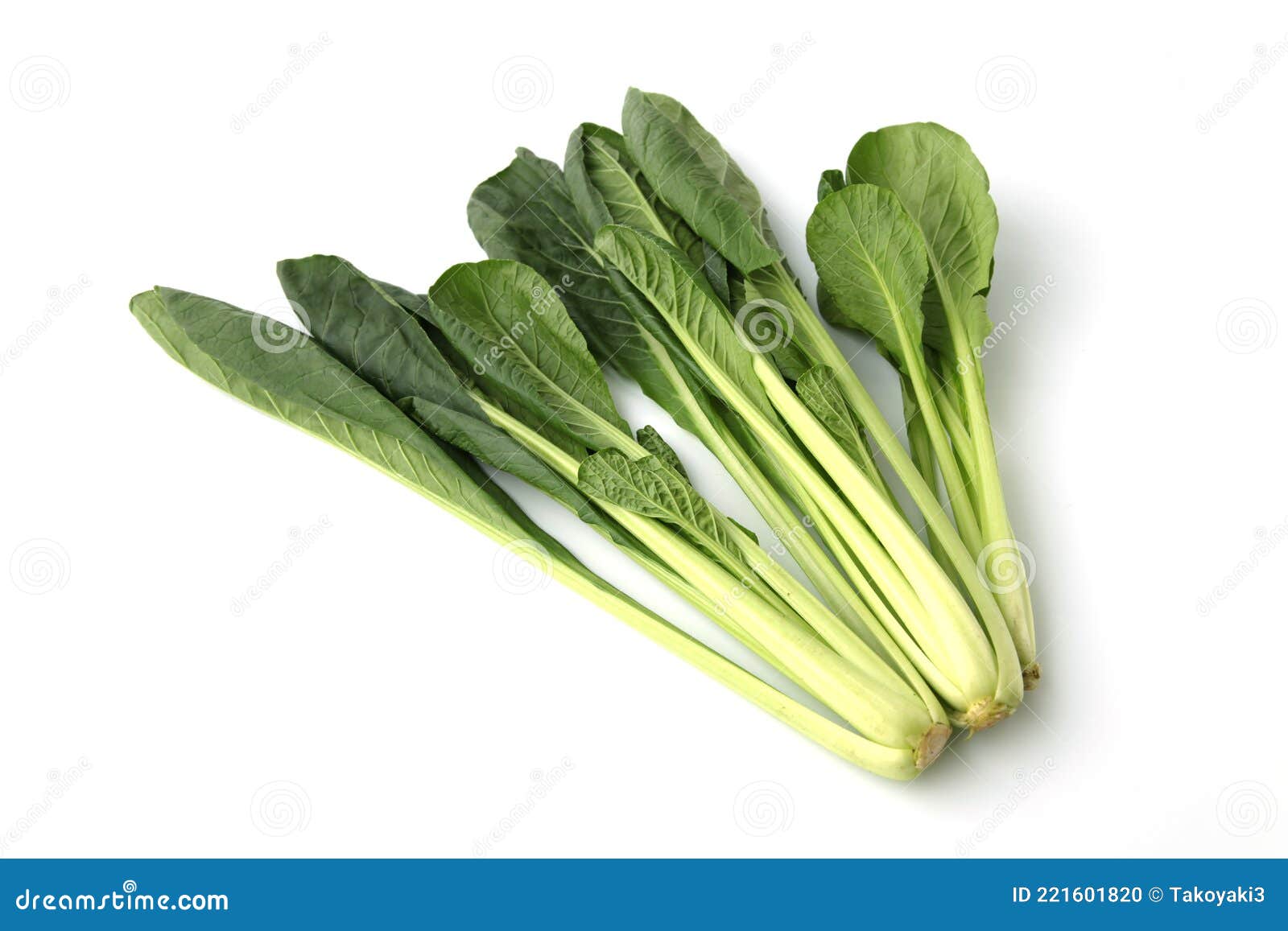 Japanese Mustard Spinach Isolated on White Background Stock Photo