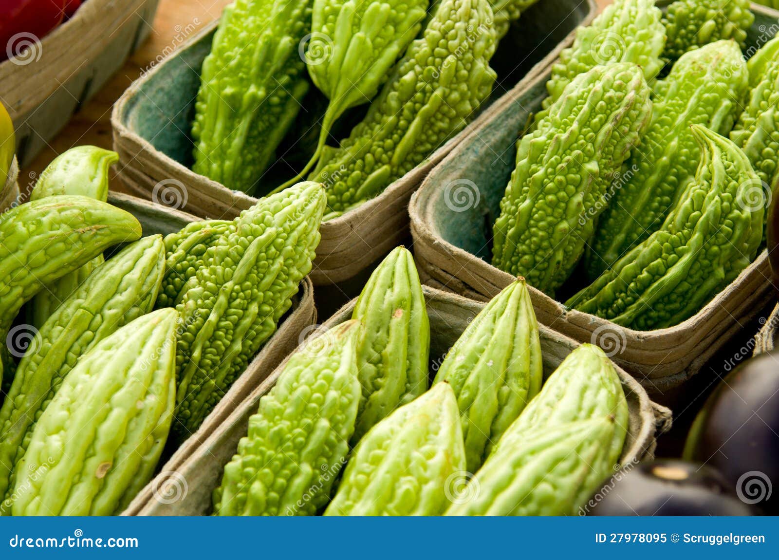 Japanese Okra stock image. Image of long, healthy, object 27978095