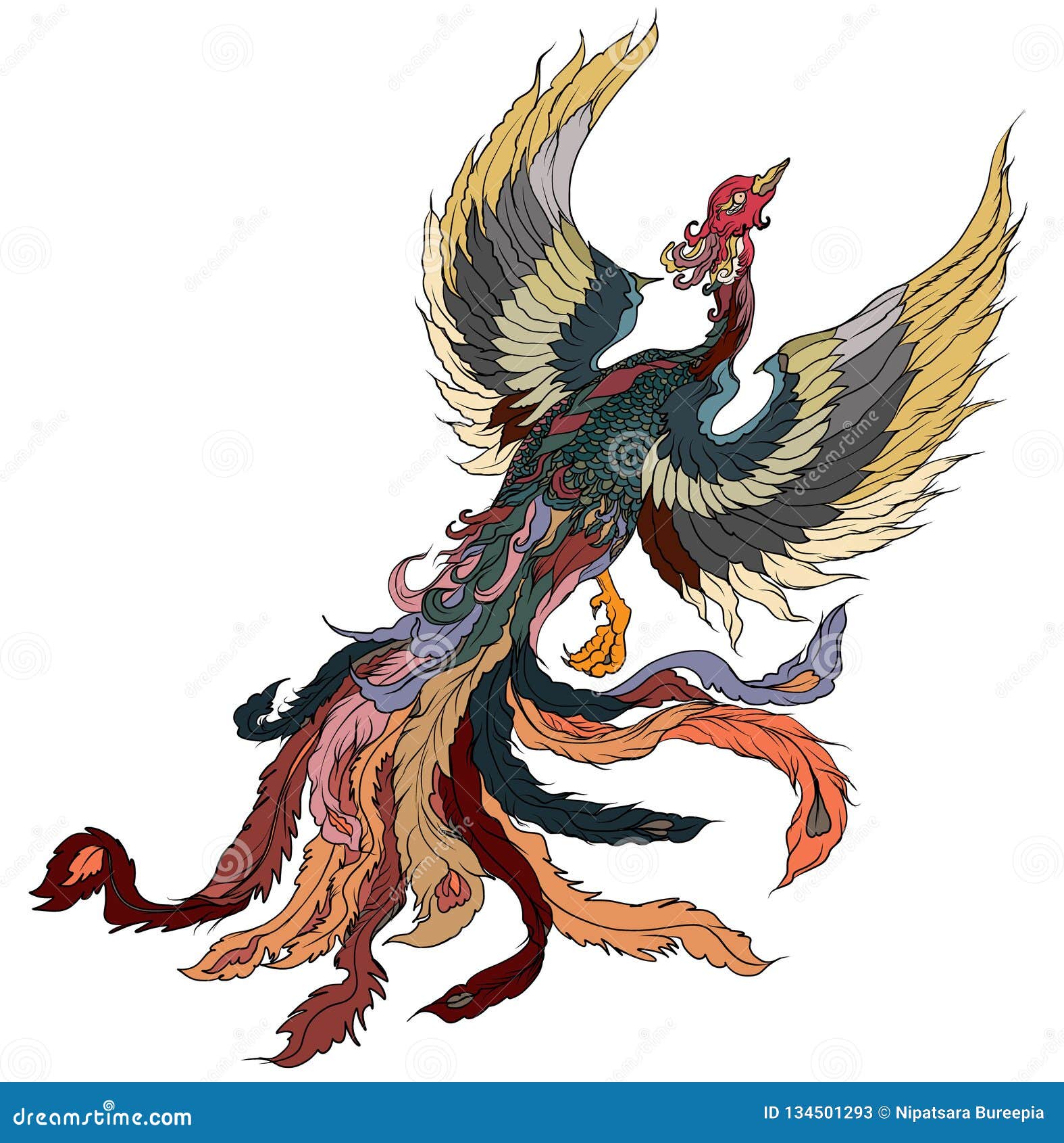 Japanese Peacock Tattoo.Asian Phoenix Fire Bird Tattoo Design.Colorful Phoenix Fire Bird Colouring Book Illustration Stock Vector - Illustration of basil, asia: 134501293