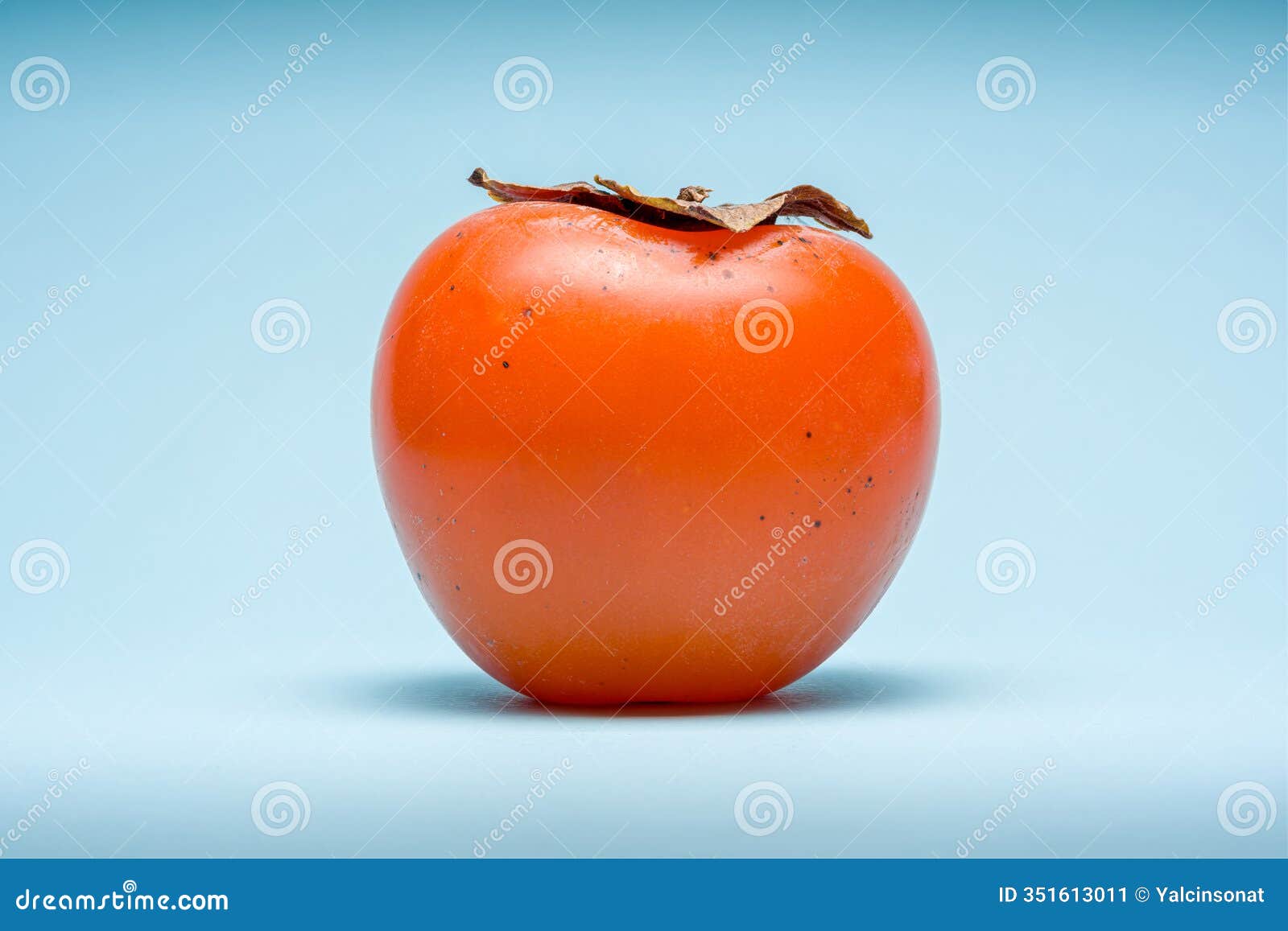 japanese persimmon on a blue background. turkish name cennet hurmasi or trabzon hurmasi