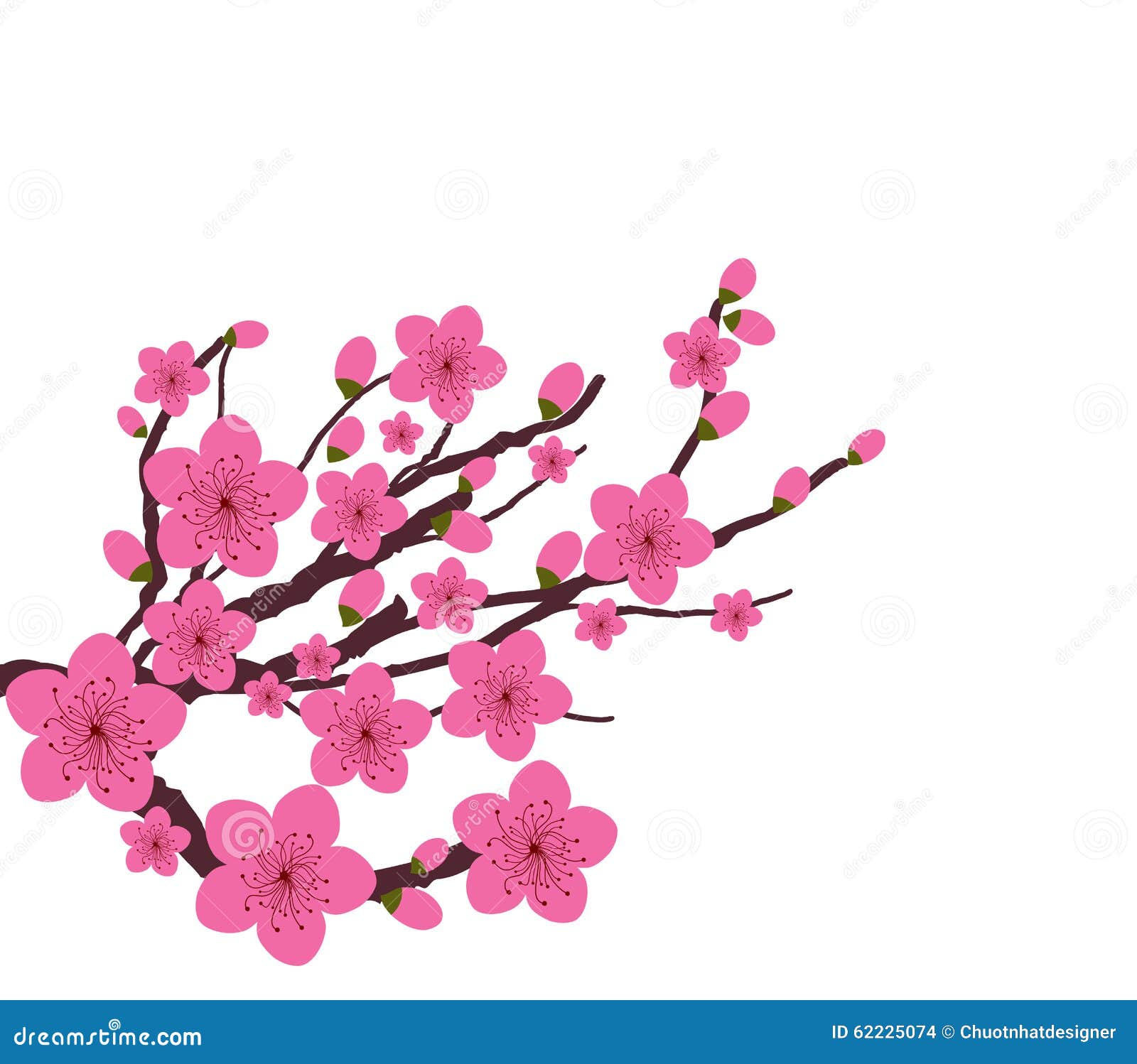 Japanese Plum Blossom Stock Vector Image 62225074