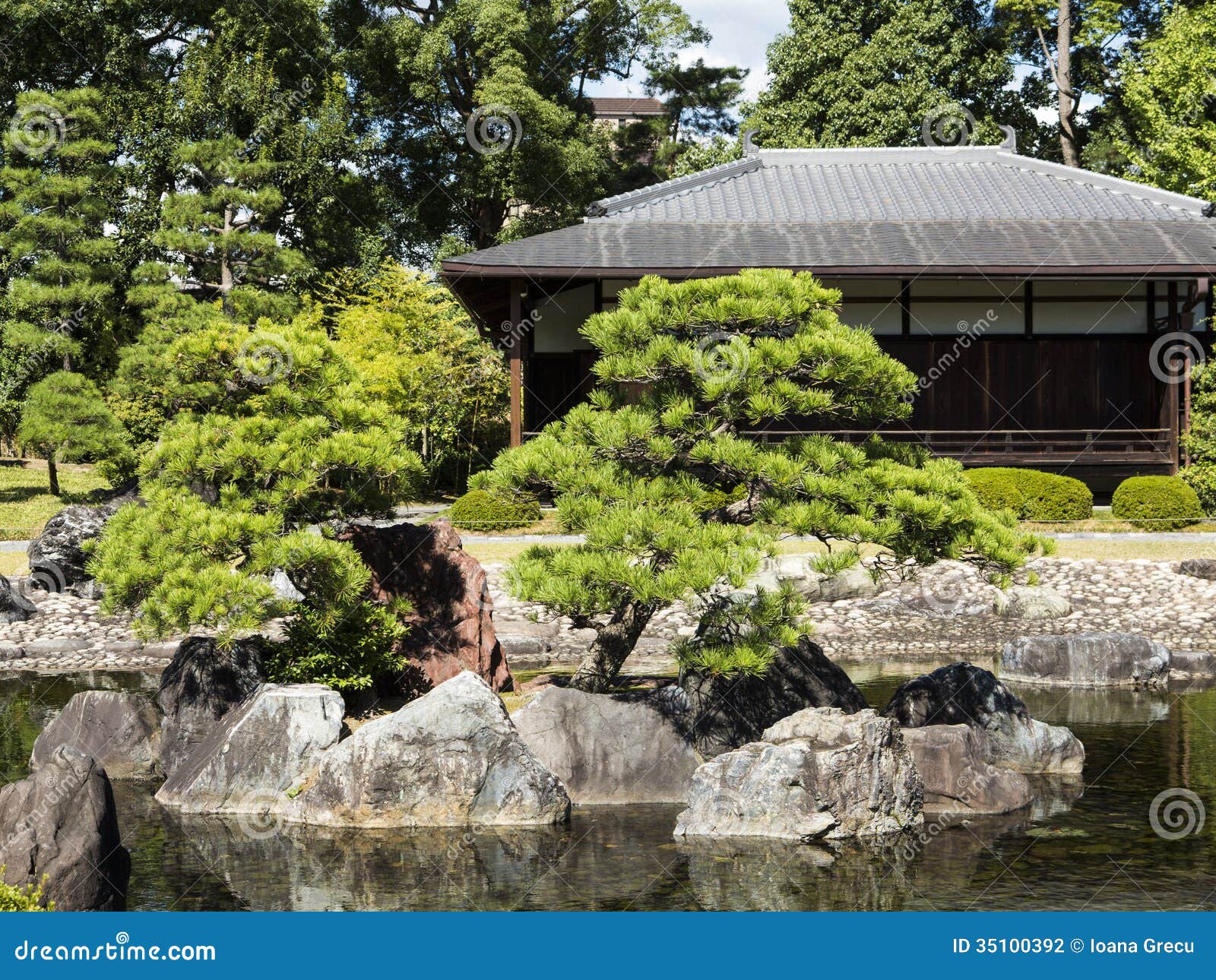 Pond in Japan stock photo. Image of deep, nature, japan - 182546932