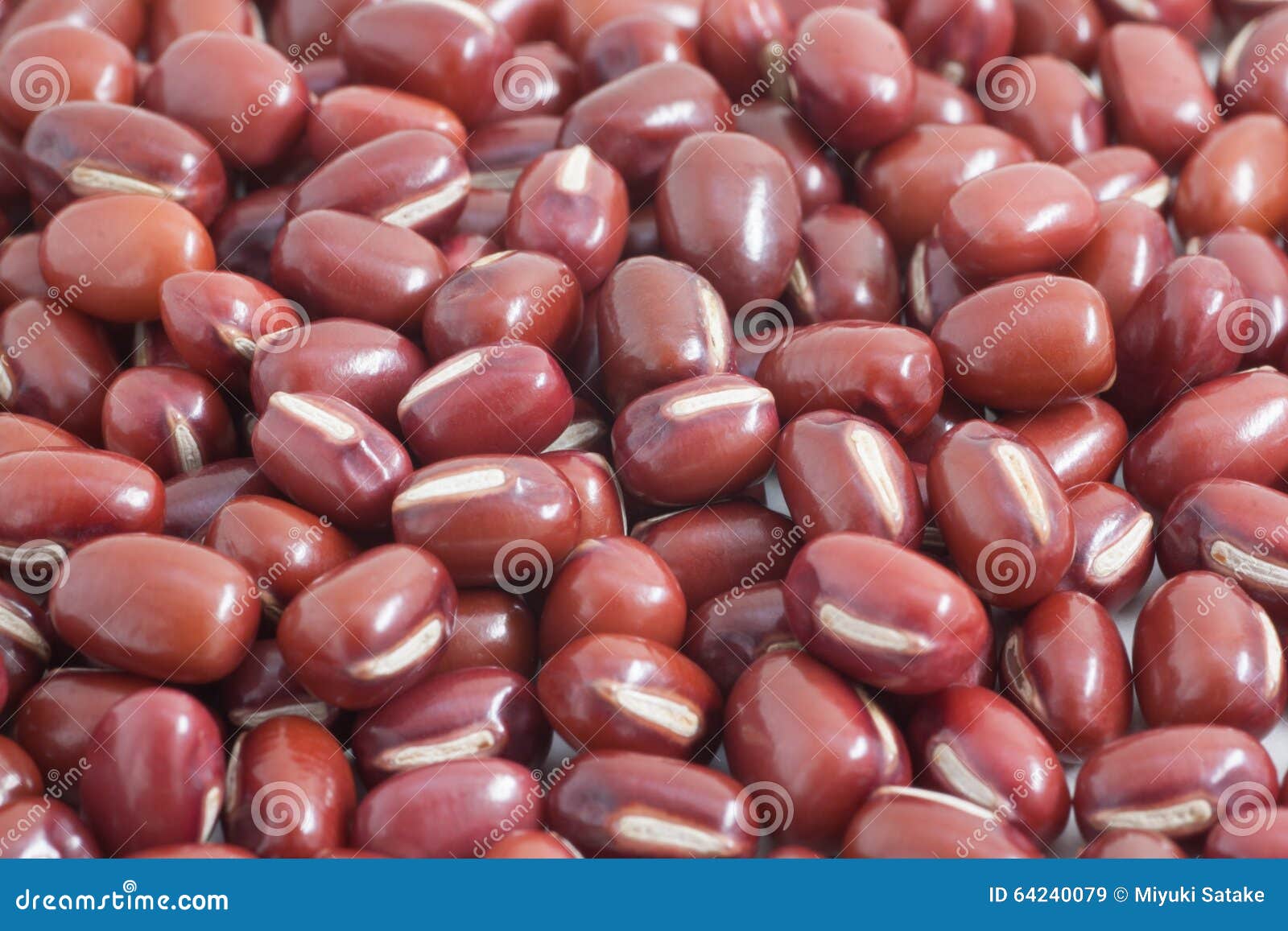 Japanese red beans stock image. Image of vegetarian, diet 64240079