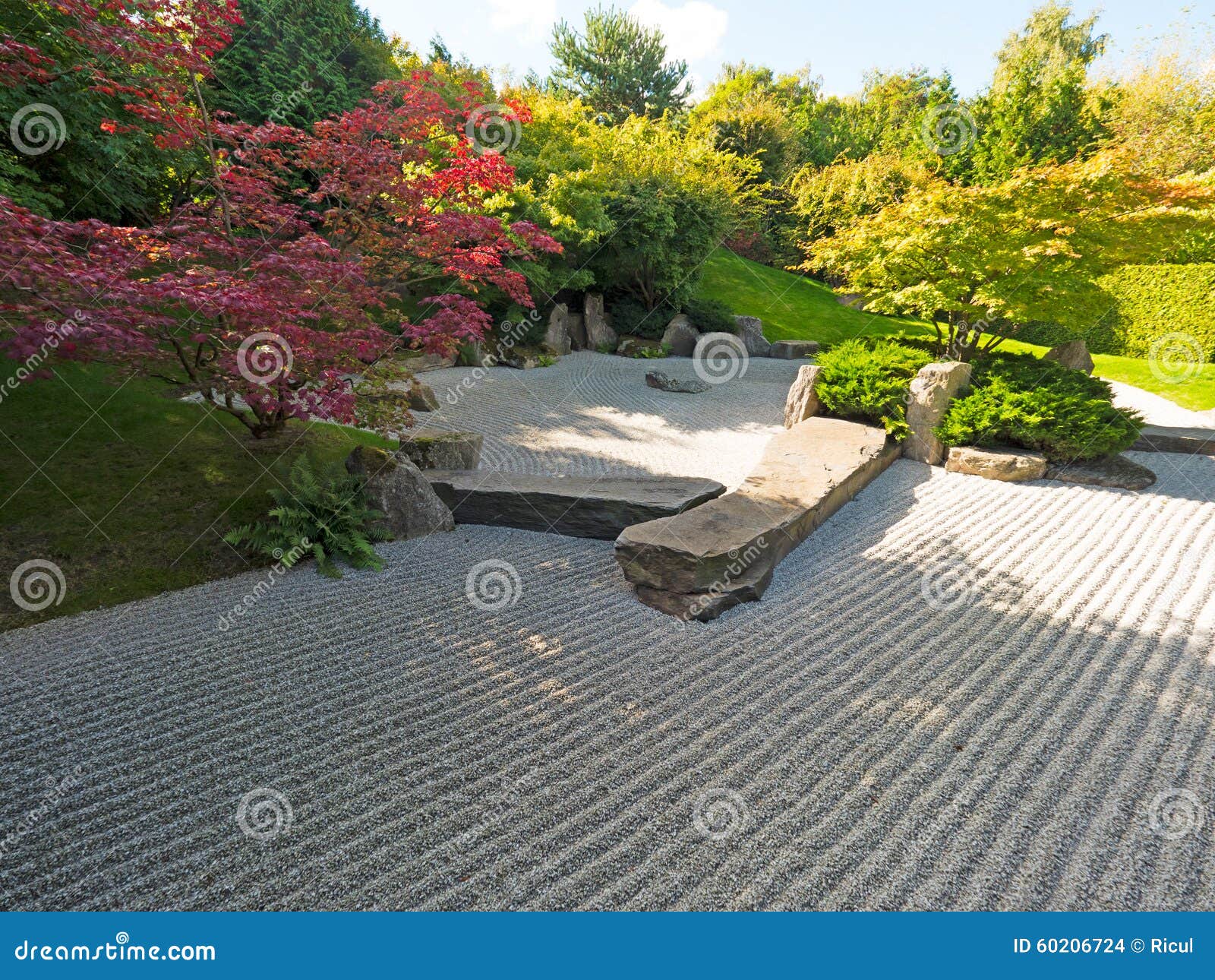 Japanese rock garden stock photo. Image of horticulture - 60206724