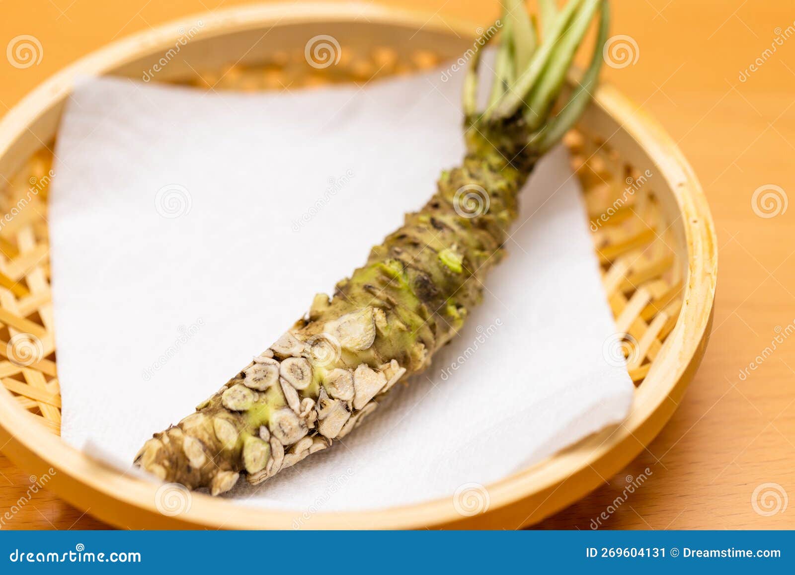 Japanese Root of Wasabi on Basket Stock Image Image of seasoning