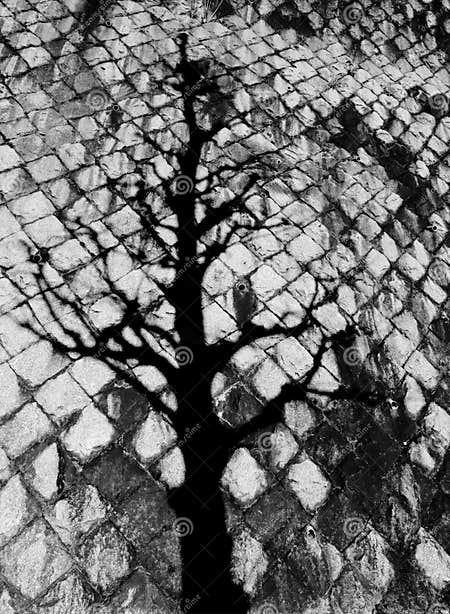 The japanese shadow stock photo. Image of black, japan - 82476212
