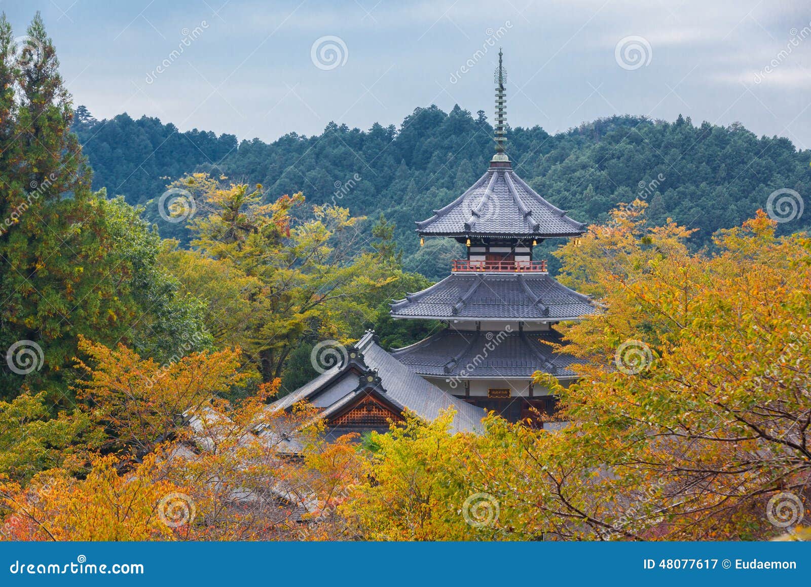 japanese shinto shrine in autumn