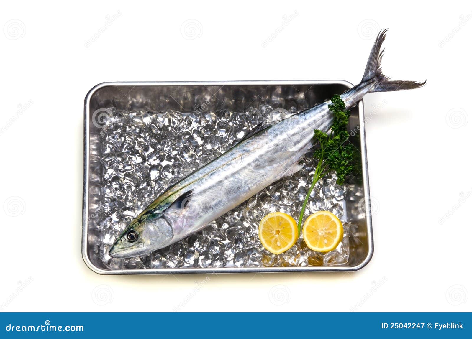 Japanese spanish mackerel stock image. Image of meal 25042247