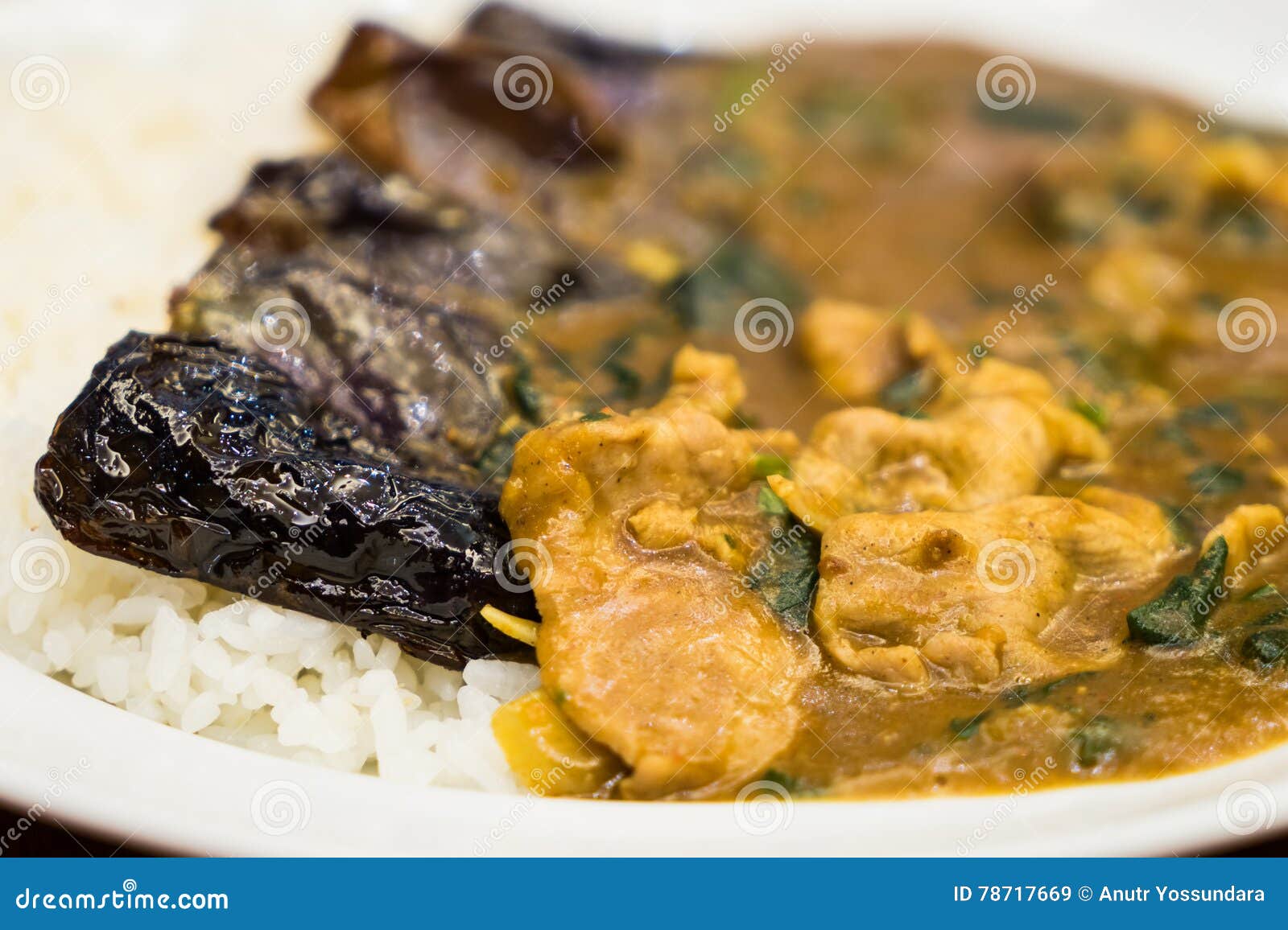 Japanese Spicy Pork Curry Rice Stock Image Image of healthy, brown