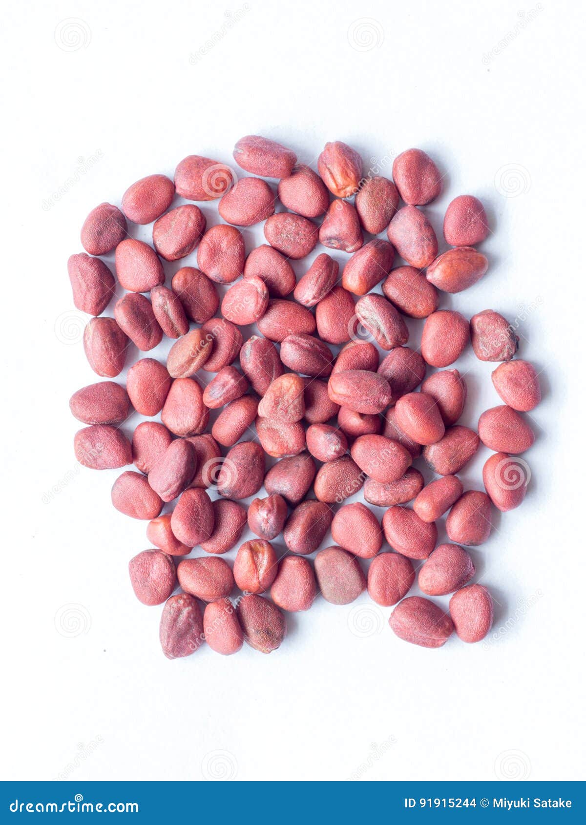 Japanese spinach seed stock photo. Image of pile, isolated 91915244